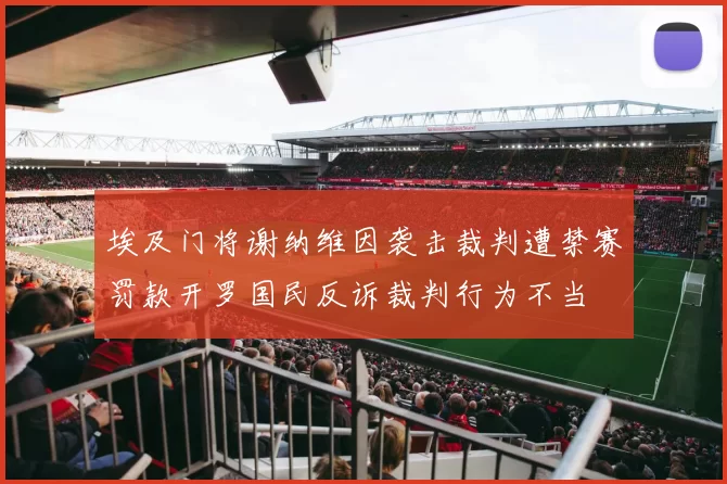 埃及门将谢纳维因袭击裁判遭禁赛罚款开罗国民反诉裁判行为不当